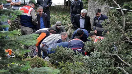Düzce’de kestiği ağacın altında kalan kişi öldü