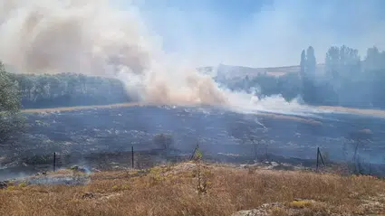 160 Dönüm Arazi Küle Döndü