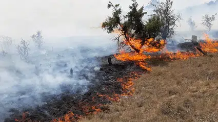 Aman Dikkat, Anız Yakanlara Ağır Cezalar Uygulanacak
