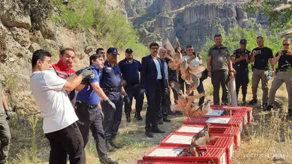 Bolu'da 600 kınalı keklik doğaya bırakıldı
