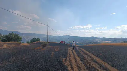 25 Dönüm Buğday Tarlası Küle Döndü