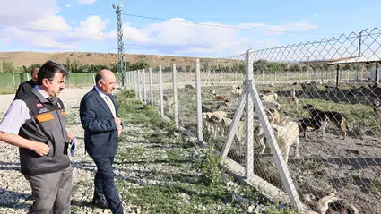 Doğal Yaşam Alanı’nda İnceleme