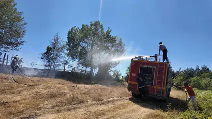 Düzce'de çıkan örtü yangını kontrol altına alındı