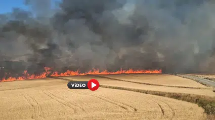 Ekili Arazide Korkutan Yangın