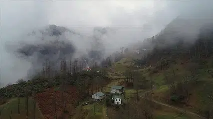 Trabzon'un "Hıdırnebi Yaylası" sis altındaki güzelliğiyle ziyaretçilerini karşılıyor