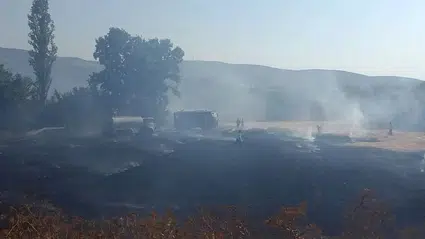 Tokat'ta çıkan anız yangınında yaklaşık 5 dönüm alan zarar gördü