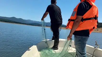 Seben Taşlıyayla Göleti'nde yasa dışı bırakılan ağ ele geçirildi