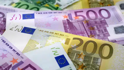 Türkiye'ye dönene 6 bin euro destek verilecek! Kaçıran pişman olacak