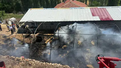550 Balya Ot Kül Oldu