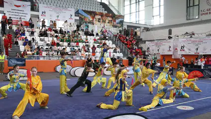 Wushucular Balkan Şampiyonasından 16 Madalya ile Döndü