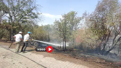 Yol Kenarına Atılan Atıklar Yangın Çıkardı