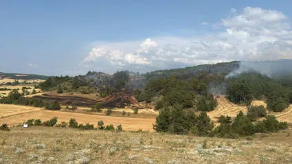 Bolu'da iki ayrı ormanlık alanda çıkan yangınlar kontrol altına alındı