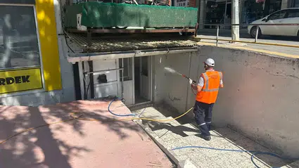 Haşere ve Keneye Karşı Kapsamlı Çalışma