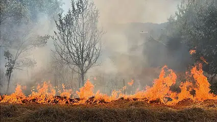 Bolu'da çıkan anız yangınları söndürüldü