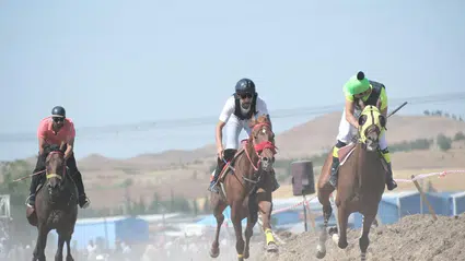 Nefes Kesen At Yarışları
