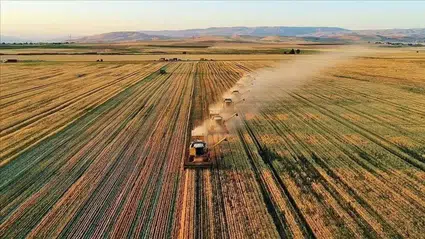 Sinop'ta kırsal kalkınma için 13 projeye 56 milyon liradan fazla hibe verilecek