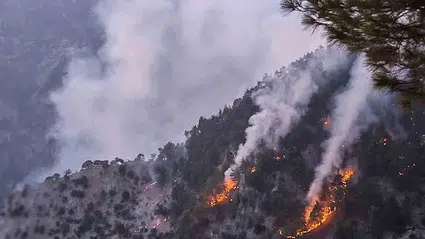 Kozan’daki orman yangını kontrol altına alındı