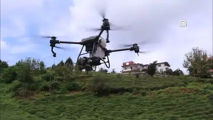 Rizeli vatandaş çay hasadı yapan akrabasına dronla su taşıdı