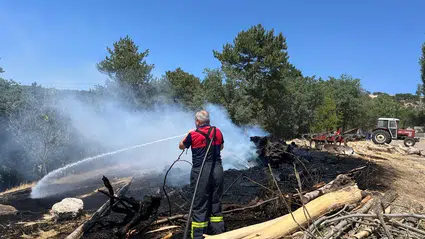100 Dönüm Arazi Küle Döndü