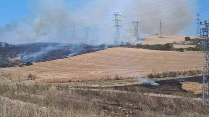 Çanakkale’de tarım arazisinde çıkan yangın kontrol altına alındı