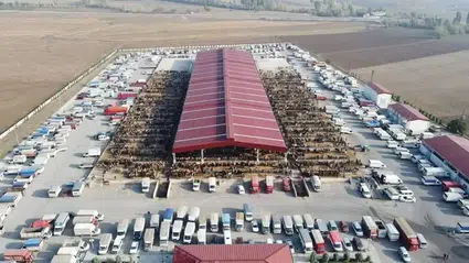 Hayvan Hareketleri Serbest, Pazarlar Kapalı