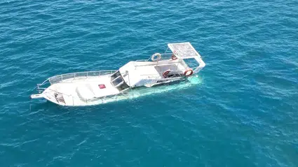 Datça'da sahilde dinlenen fok için bölgeye güvenlik şeridi çekildi