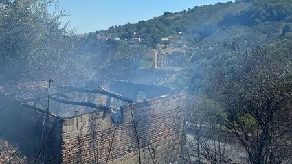 Samsun'da fındık bahçesinde çıkan yangın ormana sıçramadan söndürüldü