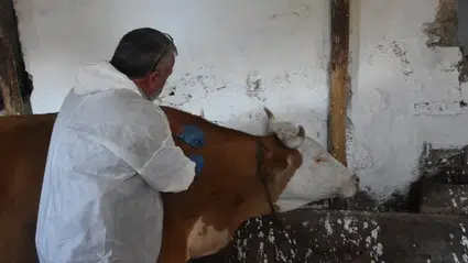 Gerze'de kadına şiddet konusunda broşür dağıtıldı