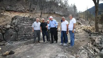 TZOB Başkanı Bayraktar, Karabük'te yangın bölgesinde incelemelerde bulundu