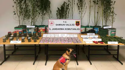 Samsun'da düzenlenen uyuşturucu operasyonunda 1 kişi gözaltına alındı