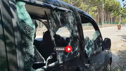 Park Halindeki Araca Sopalı Saldırı