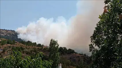 Malatya'daki orman yangınına müdahale ediliyor