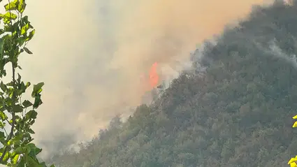 Bartın'da ormanlık alanda çıkan yangına müdahale ediliyor