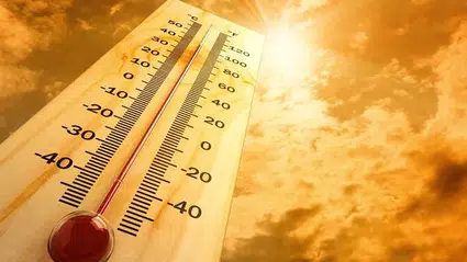 Yüksek sıcaklıklar vücutta ısı stresi oluşturabiliyor