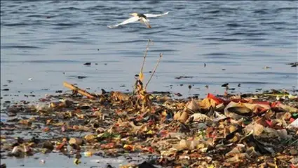 Küresel plastik anlaşmasında güçlü liderliğe ve hukuki bağlayıcılığa ihtiyaç duyuluyor