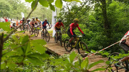Gerze ilçesinde park halindeki minibüste yangın çıktı