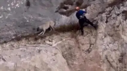 Düzce'de kayalıklarda mahsur kalan köpek kurtarıldı