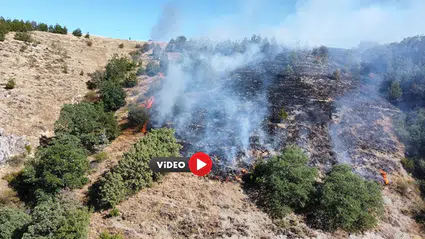 Orman Yangını Korkuttu