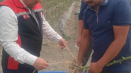 Çiftçilerin Seralarını Ziyaret Etti