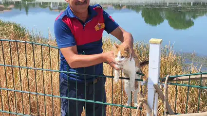 Kızılırmak'a Düşen Kediyi İtfaiye Kurtardı