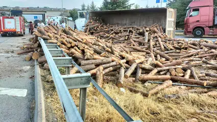 Tomruk Yüklü TIR Devrildi