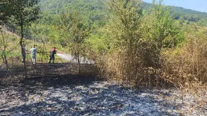 Bartın'da çıkan anız yangını söndürüldü