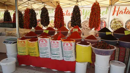 Osmancık, Festivale Hazırlanıyor
