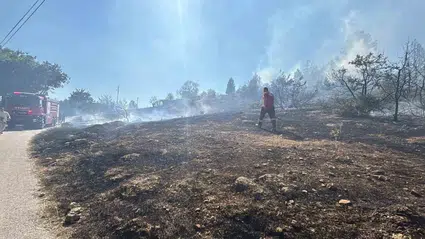 Bolu'da çalılık alanda çıkan yangın söndürüldü