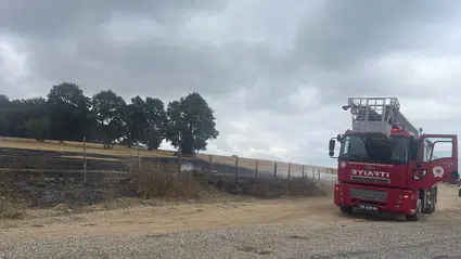 Ladik'te anız yangını ağaçlara sıçramadan söndürüldü