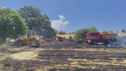 Karabük'te çıkan anız yangını söndürüldü