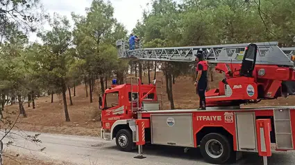 Osmancık Kent Ormanı Yolu Güneş Enerjisiyle Aydınlatıldı