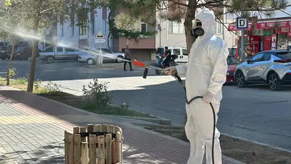Sinek ve Sivrisineklere Karşı Kapsamlı İlaçlama