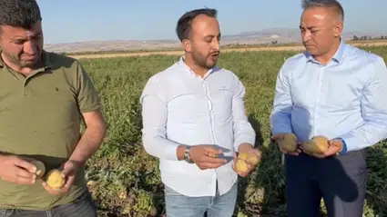 Patates Üreticisinden İsyan