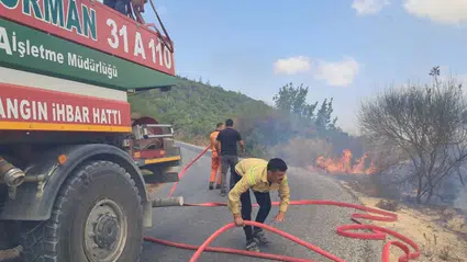 Hatay Yayladağı'nda çıkan orman yangını kontrol altına alındı